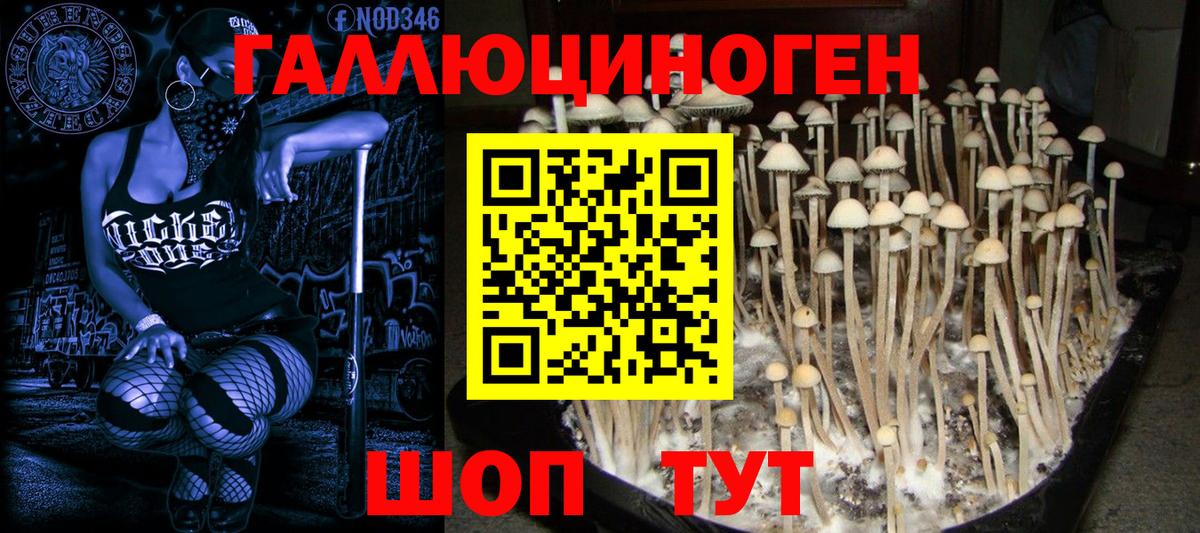 сколько стоит  Вход с VPN  Каменск-Шахтинский  Галлюциногенные грибы Magic Shrooms 