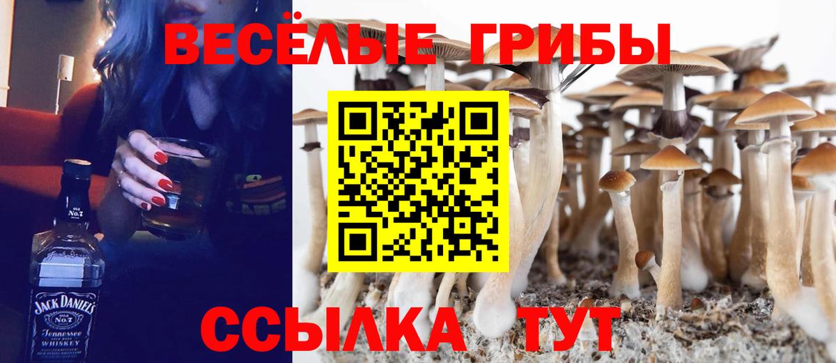 Псилоцибиновые грибы GOLDEN TEACHER Каменск-Шахтинский